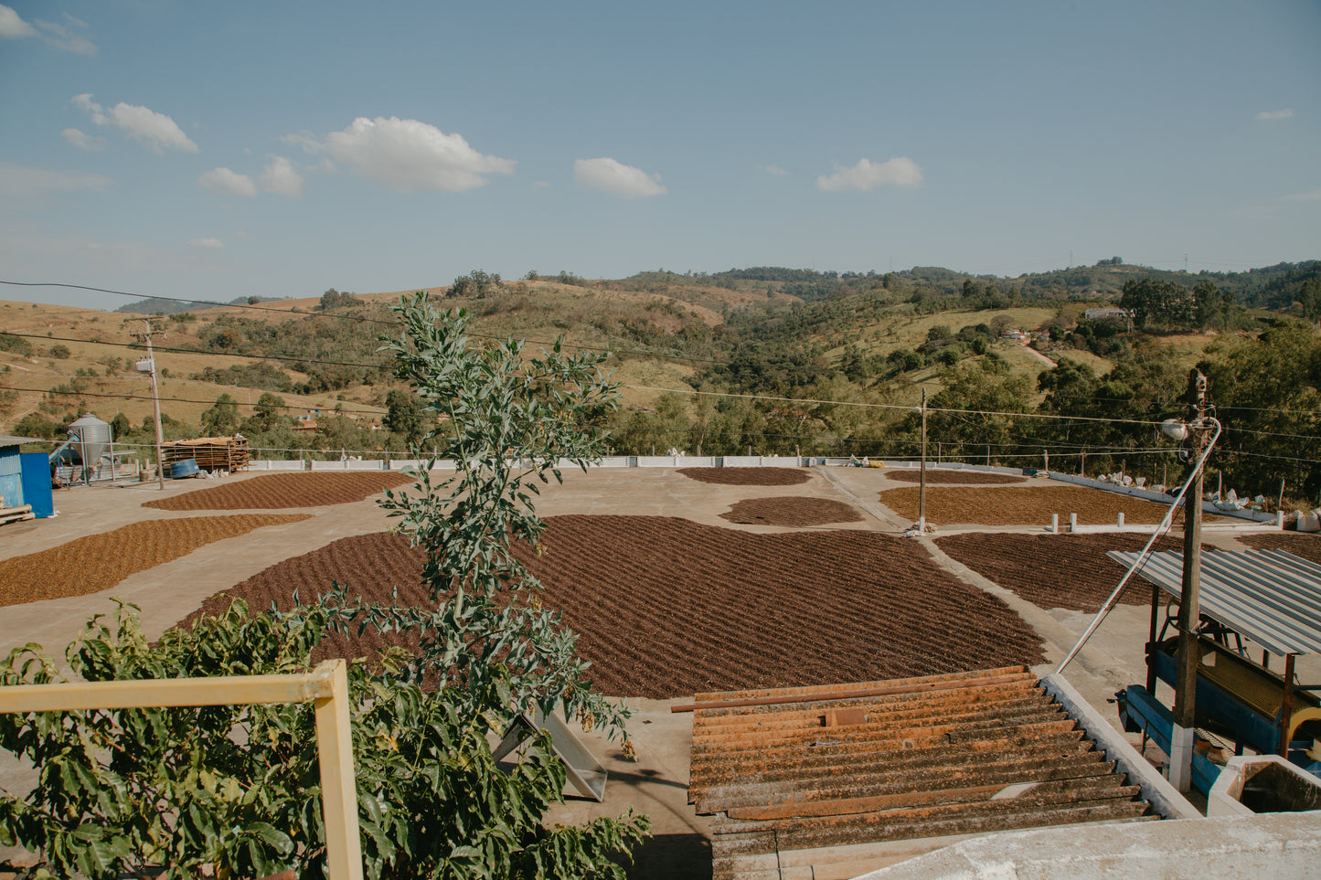Brazil - Fazenda De Mata (Pre Order)