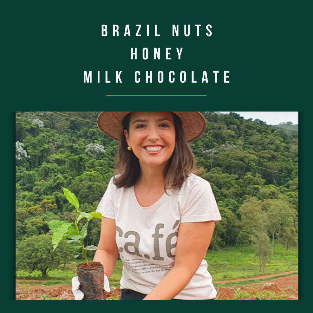 Brazil - Fazenda Santo Antônio