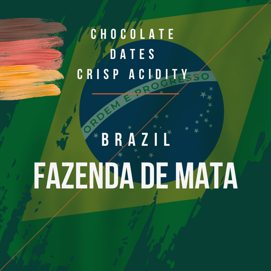 Brazil - Fazenda De Mata (Pre Order)