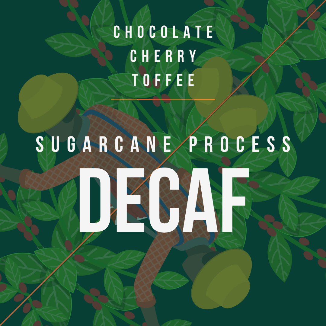 Brazil - Decaf (Sugar Cane Process)
