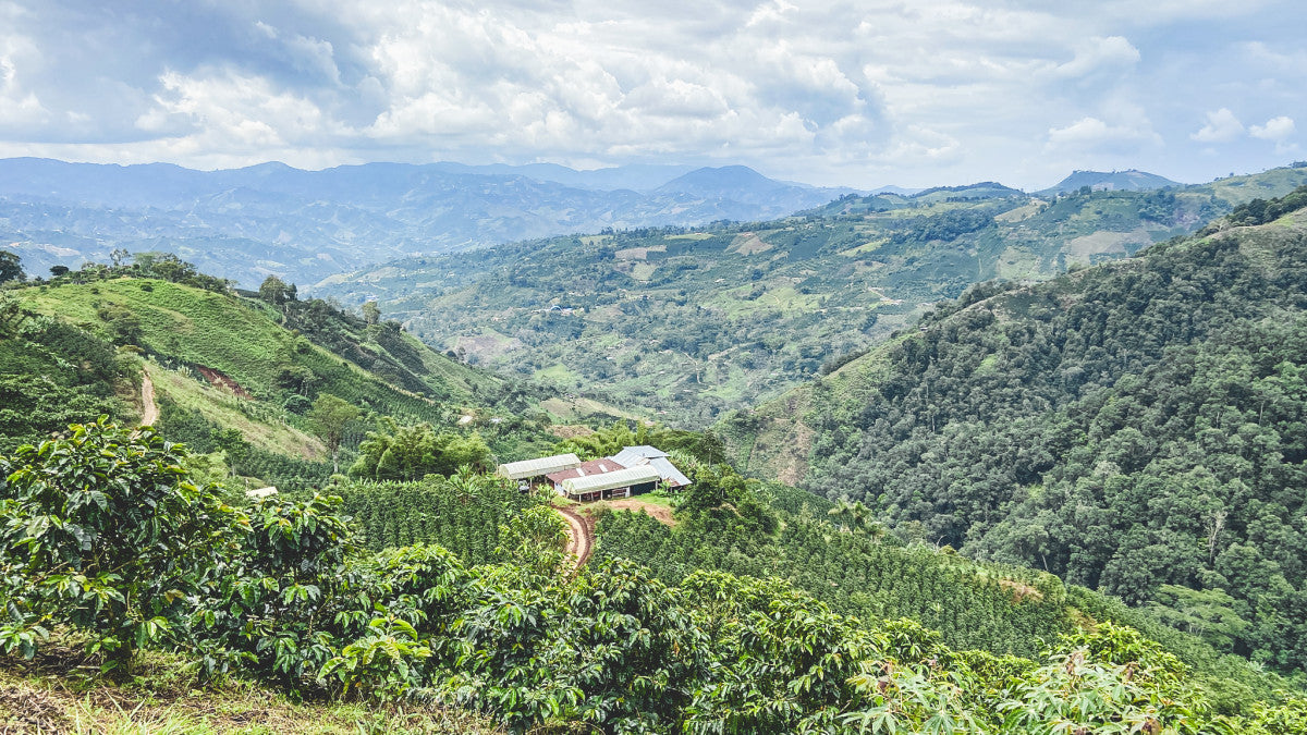 Colombia - Huila