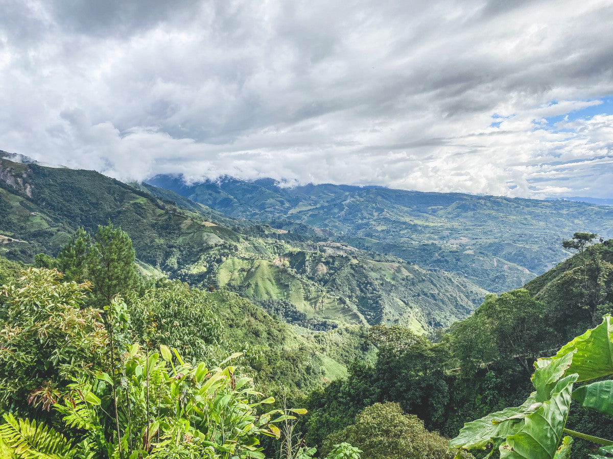 Colombia - Huila