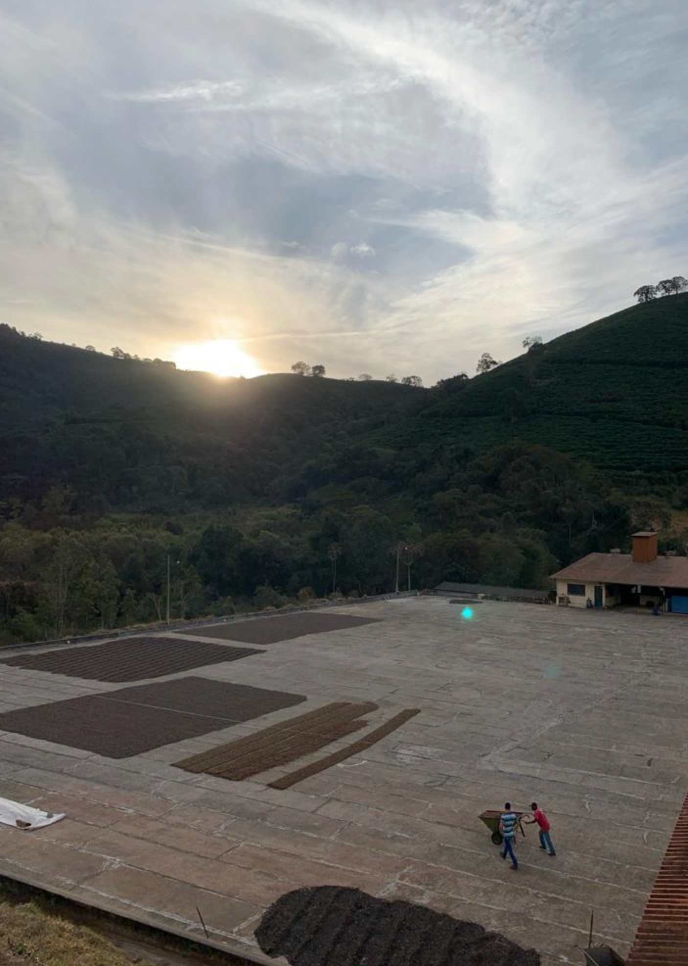 Brazil - Monte Verde