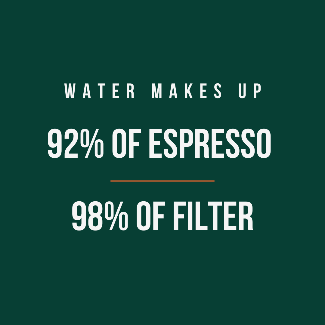 BWT Water Filter AQUAlizer Home (Magnesium)