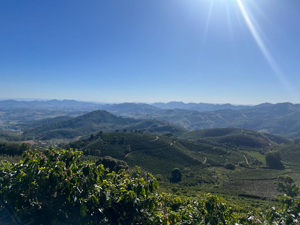 Brazil - Fazenda Santo Antônio