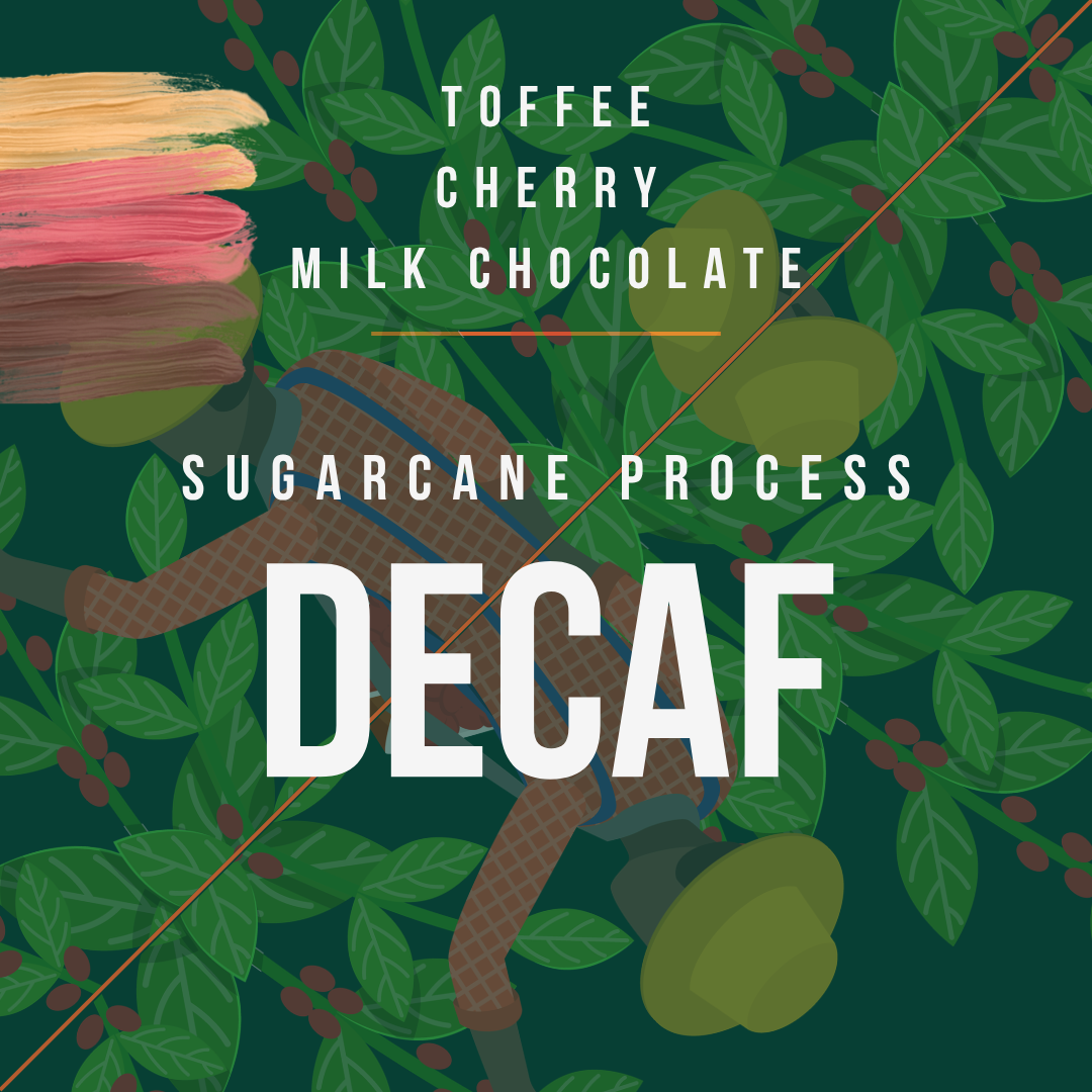 Brazil - Decaf (Sugar Cane Process)