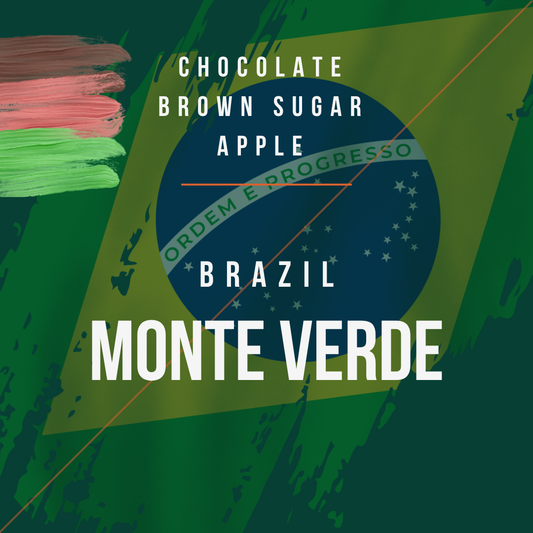 Brazil - Monte Verde
