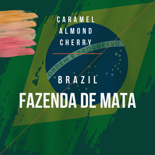 Brazil - Fazenda De Mata