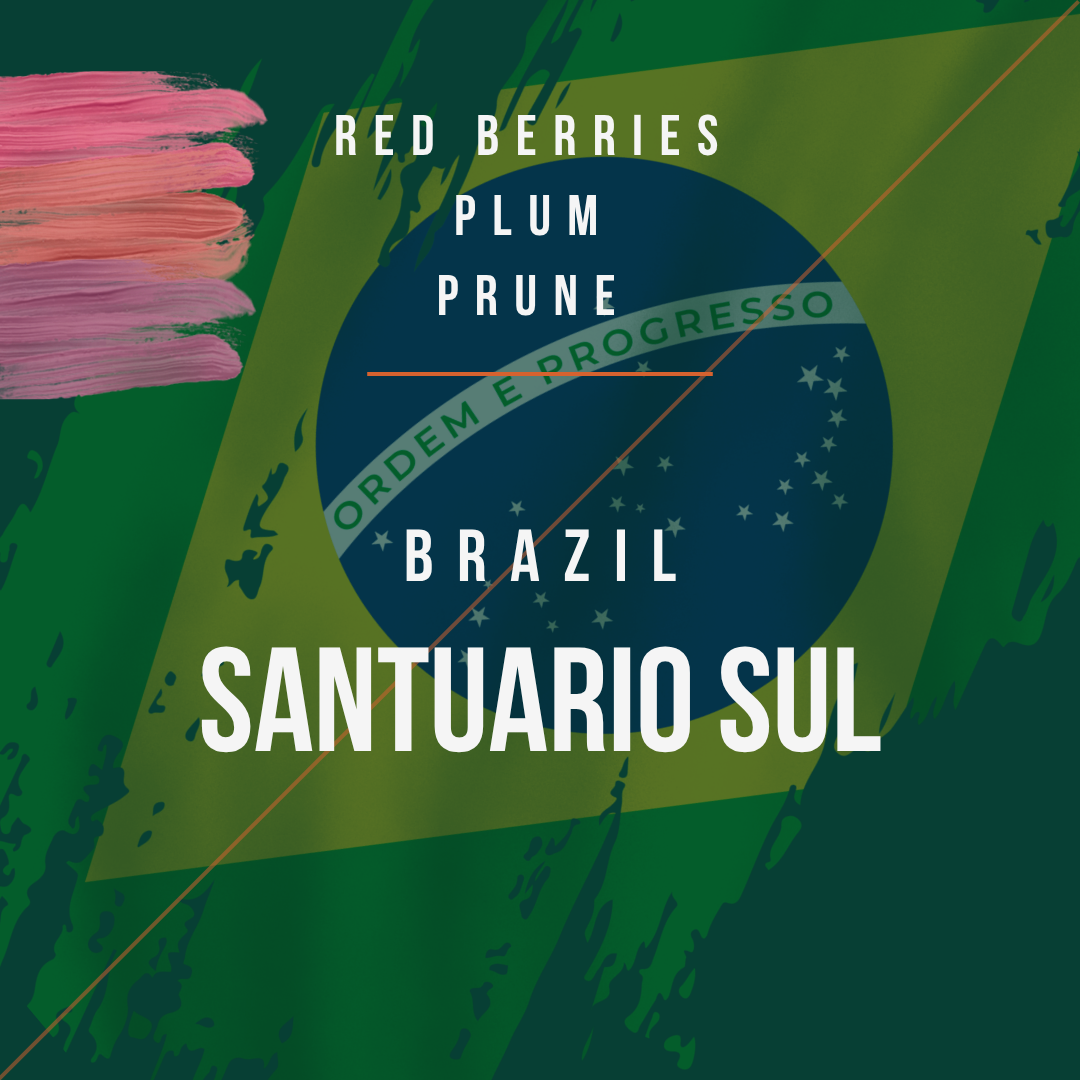 Brazil - Santuario Sul (Washed)