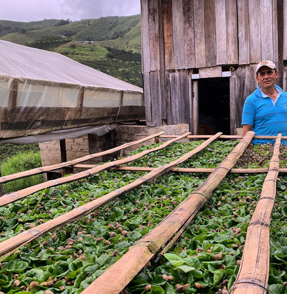 Colombia - Finca El Faro (Pink Bourbon)