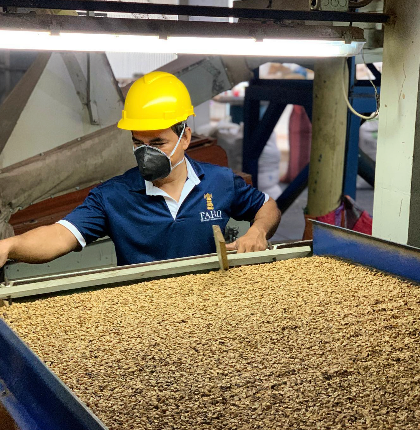 Colombia - Finca El Faro (Pink Bourbon)